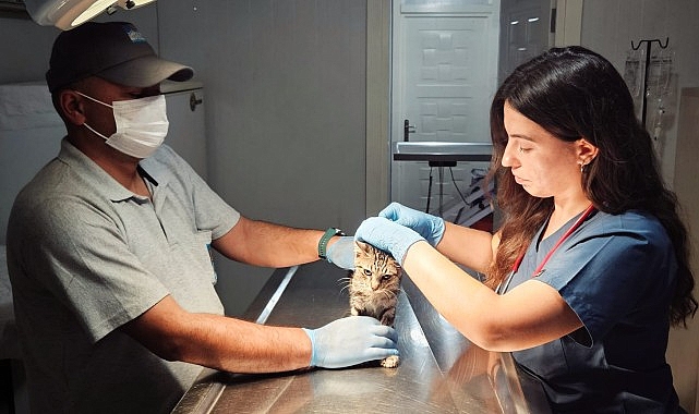 Narlıdere Belediyesi’nde can dostlar için hummalı çalışma.- Haber Şafak
