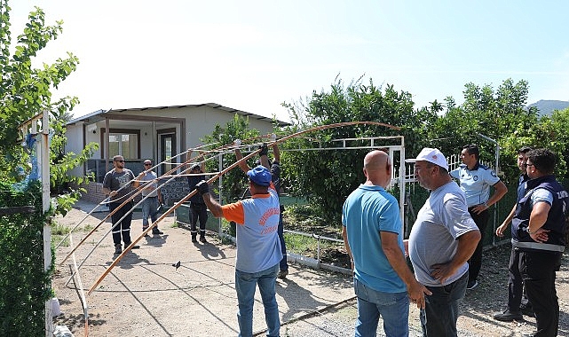 Seferihisar’da tarım arazilerine zarar veren hobi bahçelerinin yıkımı devam ediyor- Haber Şafak
