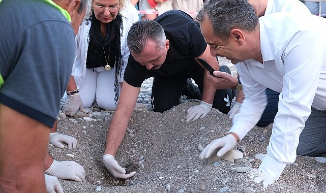 Son caretta caretta yuvaları açıldı- Haber Şafak