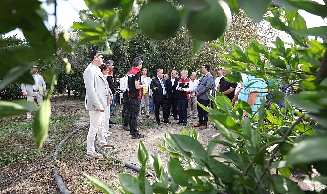 “Akdeniz Meyve Sineği İle Mücadelede Biyoteknik Yöntemlerin Yaygınlaştırılması Projesi”- Haber Şafak