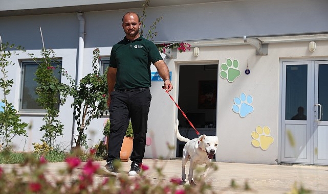 Antalyaspor’a ‘can dost’  – Haber Şafak