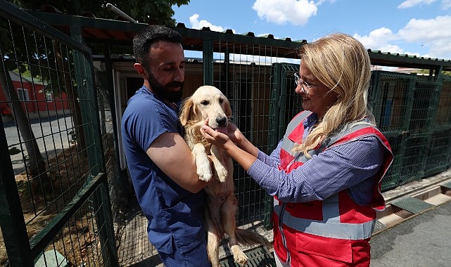 Bakırköy Belediyesi Can Dostlarının Yanında- Haber Şafak