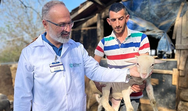 Büyükşehir’in koç desteğiyle 5.400 kuzu doğdu- Haber Şafak