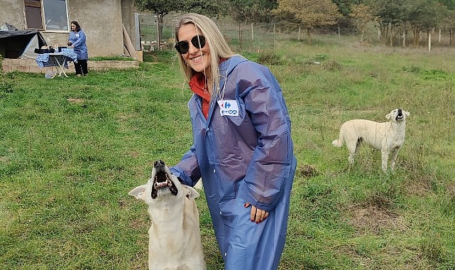CarrefourSA Dost Hareketi ile Sokak Hayvanlarına Desteğe Devam Ediyor- Haber Şafak