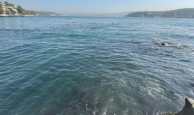 İBB’nin bağlı kuruluşu İstanbul Su ve Kanalizasyon İdaresi (İSKİ), Baltalimanı’nda boğaza atık su akışı olduğu iddialarını yalanladı- Haber Şafak