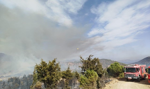 İzmir Büyükşehir Belediyesi ekipleri Foça’daki yangına müdahaleyi sürdürüyor- Haber Şafak