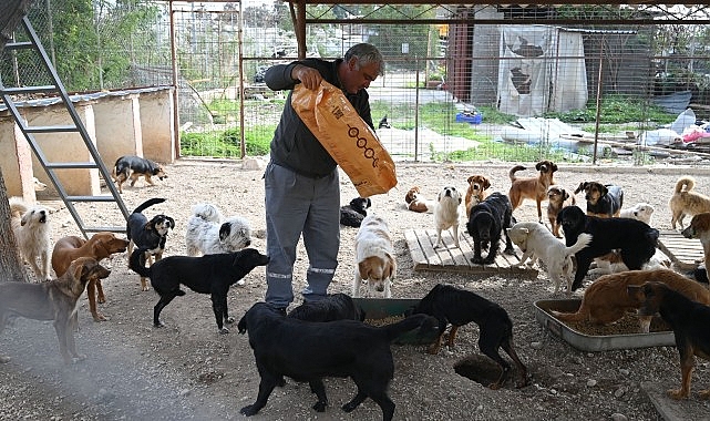 Kemer Belediyesi mama üretim tesisini açıyor – Haber Şafak