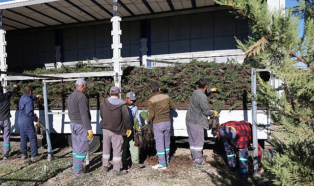 Nevşehir tarihinin en büyük ağaçlandırma seferberliği başlıyor.- Haber Şafak