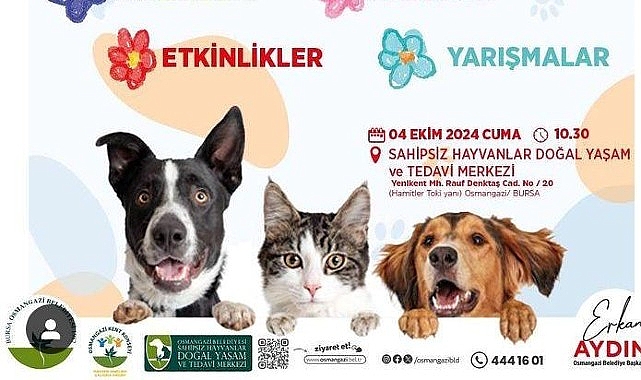 Osmangazi Belediyesi, 4 Ekim Dünya Hayvanları Koruma Günü’nde düzenleyeceği bir dizi etkinlik ile hayvan haklarına ve doğal yaşamın önemine dikkat çekecek- Haber Şafak