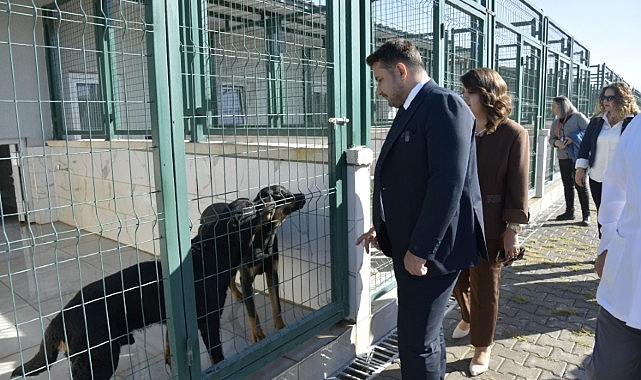 Patili Dostlara Miniklerden Ziyaret- Haber Şafak