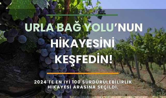 Urla Bağ Yolu “En İyi 100 Sürdürülebilir Destinasyon Hikâyesi” listesine seçildi- Haber Şafak
