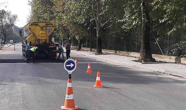 Yollarda öncelik yaya ve araç güvenliği- Haber Şafak