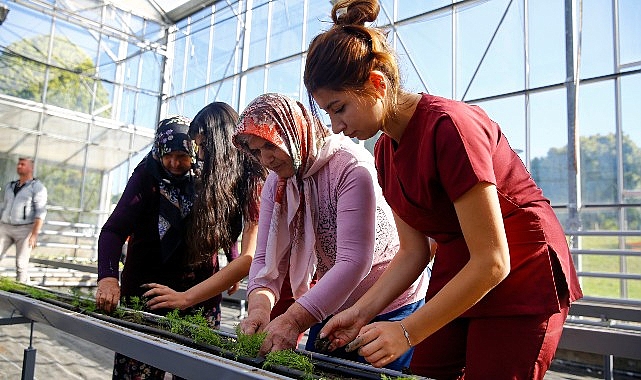 Alzheimer hastaları Mavi Ev’de moral buluyor- Haber Şafak