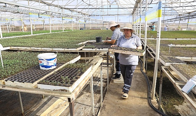 Antalya’nın caddeleri kışında rengarenk olacak- Haber Şafak