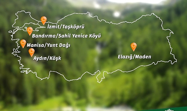Banvit BRF Ormanları 60 bin ağaca ulaştı- Haber Şafak