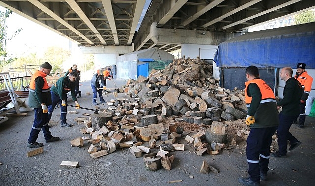 Bayrampaşa’da budanan ağaçlar evleri ısıtıyor- Haber Şafak