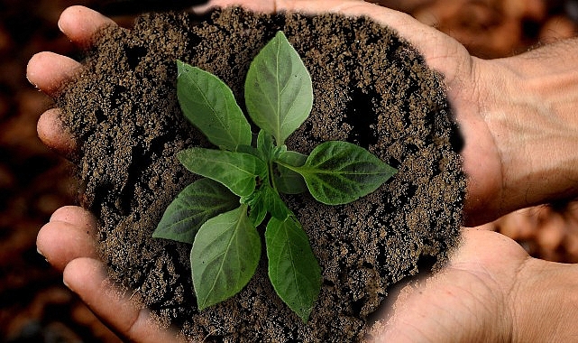 Gedik Yatırım’dan gelecek nesiller için TEMA Vakfı iş birliği ile hatıra ormanı- Haber Şafak