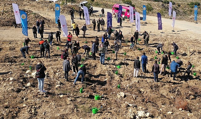 ‘Her Fidan Bir Umut’ projesiyle 1 milyon fidan toprakla buluştu- Haber Şafak
