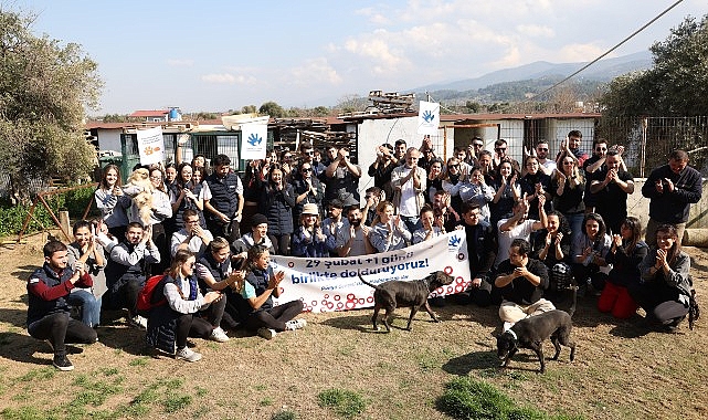 Anadolu Efes Gönüllüleri Bu Yıl da Fark Yaratmaya Devam Etti- Haber Şafak