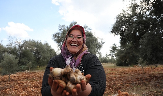 Antalya Büyükşehir Belediyesi 2024 yılında da üreticinin yanında- Haber Şafak
