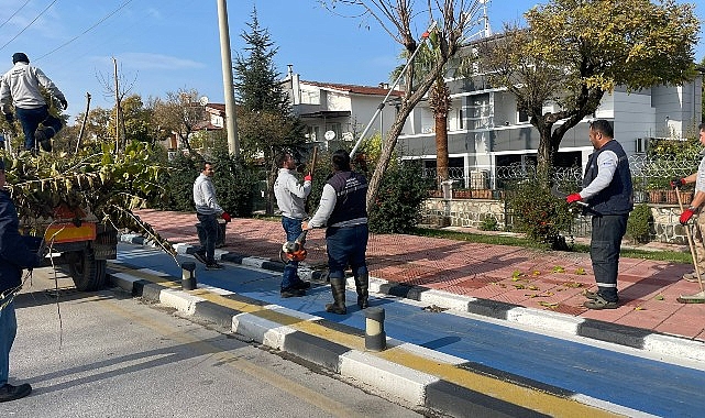 Büyükşehir Kent Genelinde Budama Çalışmalarına Devam Ediyor- Haber Şafak
