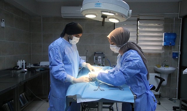 Büyükşehir patili dostlara sahip çıkıyor- Haber Şafak