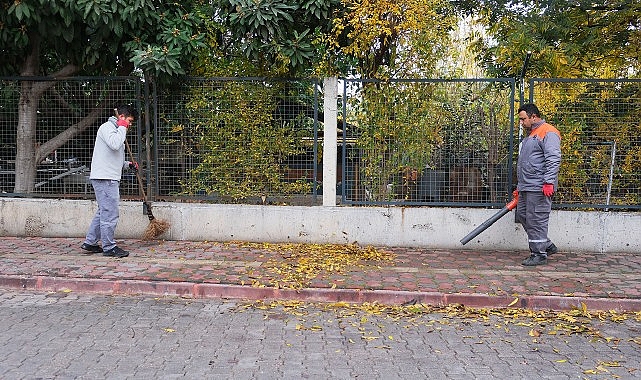 Çöp konteynerleri dezenfekte ediliyor- Haber Şafak