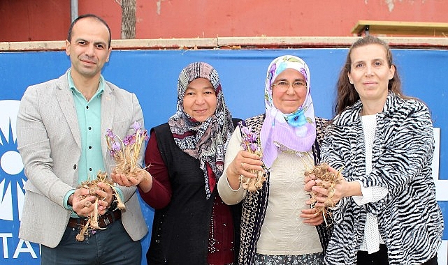 Elmalı’da safran soğanı dağıtımı yapıldı- Haber Şafak