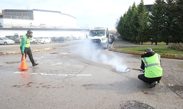 Haşereyle mücadeleye kışın da devam- Haber Şafak