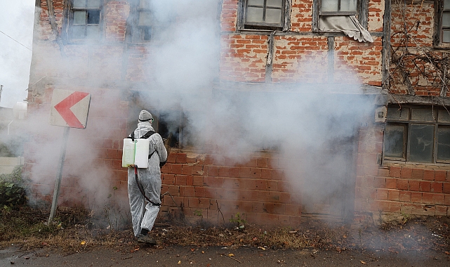 Kandıra Belediyesi Kokarca İle Mücadele Çalışması Başlattı.- Haber Şafak