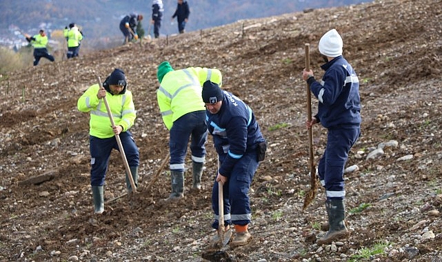 Kocaeli’de 4 bin ağaç toprakla buluşturuluyor- Haber Şafak