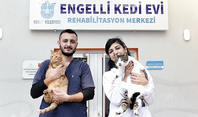 Konak’ın engelleri aşan Kedi Evi’nden sahiplenme çağrısı- Haber Şafak