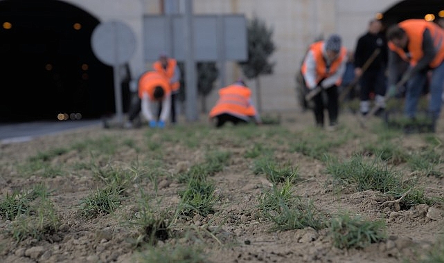 Kuraklığa karşı İzmir’in yeşil örtüsünde dönüşüm- Haber Şafak