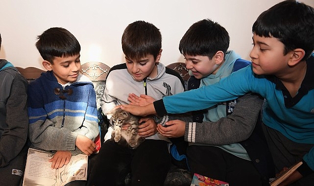 Öğrenciler bu kütüphanede hem kitap okuyor hem de kedileri seviyor- Haber Şafak