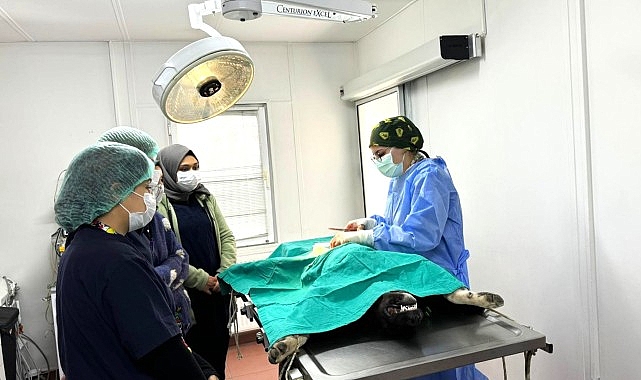 Osmangazi’de can dostlar emin ellerde- Haber Şafak