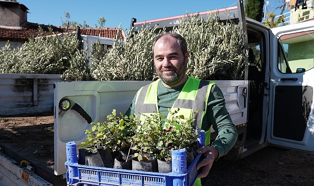 Antalya Büyükşehir’den yangında zarar gören üreticilere fidan desteği- Haber Şafak