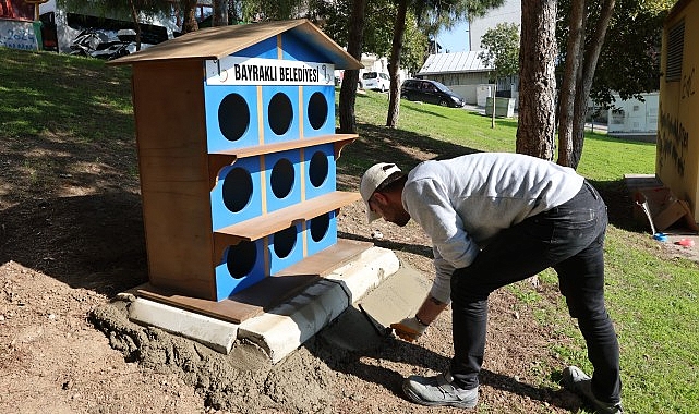 Bayraklı’da sokak kedilerine yeni yuva- Haber Şafak