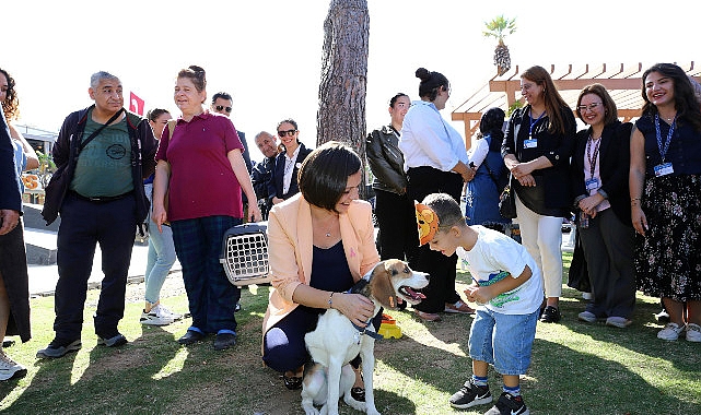 Karabağlar Belediyesi’nden sokak hayvanlarına modern hizmet- Haber Şafak