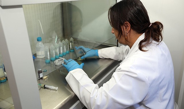 Muğla’nın Tohumları Türkiye’nin Topraklarıyla Buluşuyor- Haber Şafak