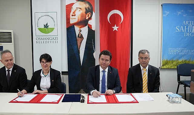 Sahiplenilen köpeklerin ilk aşısı ve muayenesi Osmangazi Belediyesi’nden- Haber Şafak