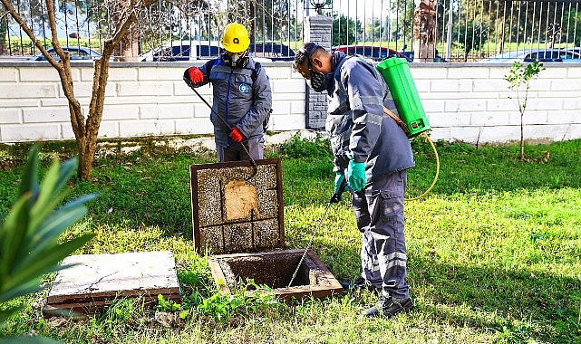 Vektörle mücadele kış aylarında da sürüyor- Haber Şafak