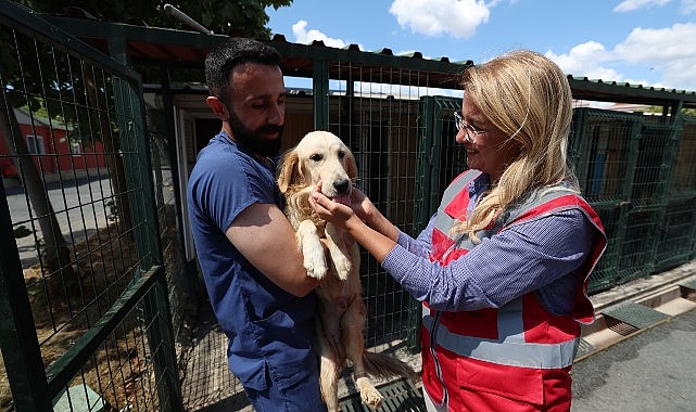 Bakırköy Belediyesi Veteriner İşleri Müdürlüğü Hayvanların Yanında- Haber Şafak
