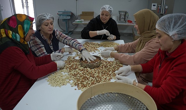 Deprem Bölgesinde Kadın Kooperatiflerinin Umut ve Dayanışma Hikayesi: “Yeniden” Digiturk’te- Haber Şafak
