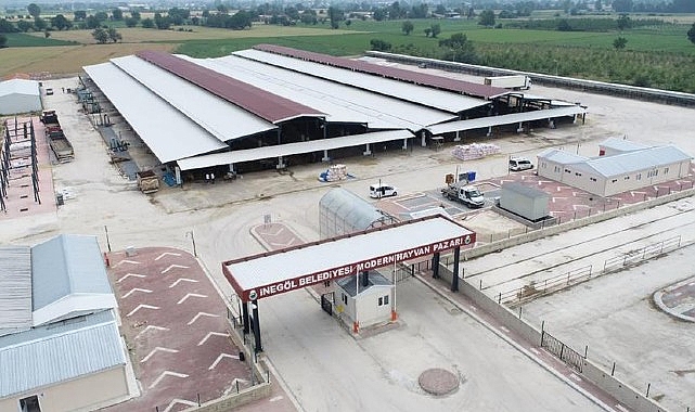 İnegöl Hayvan Pazarı Bu Hafta Kurulacak- Haber Şafak