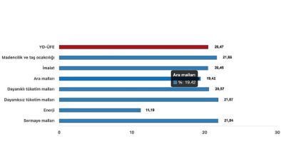 Tüik: Yurt Dışı Üretici Fiyat Endeksi (YD-ÜFE) yıllık %20,47 arttı, aylık %2,01 arttı- Haber Şafak