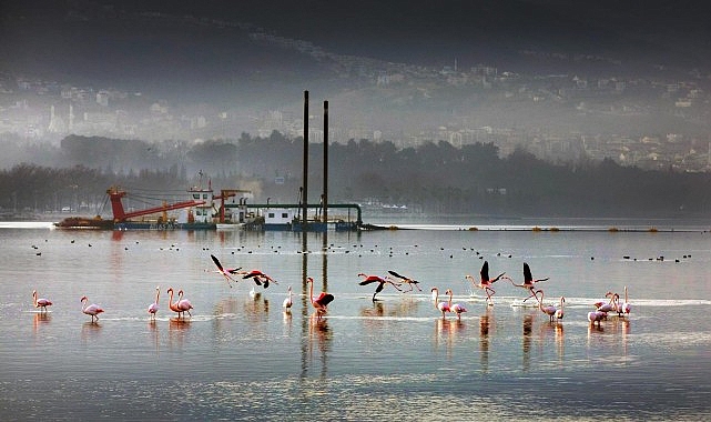 170 hektar alan dip çamurundan arındırıldı- Haber Şafak