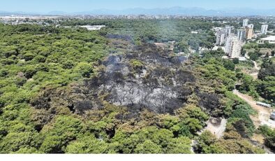 Antalya Büyükşehir Belediyesi İtfaiyesi alevlerle mücadelesini sürdürüyor- Haber Şafak