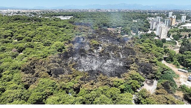 Antalya Büyükşehir Belediyesi İtfaiyesi alevlerle mücadelesini sürdürüyor- Haber Şafak
