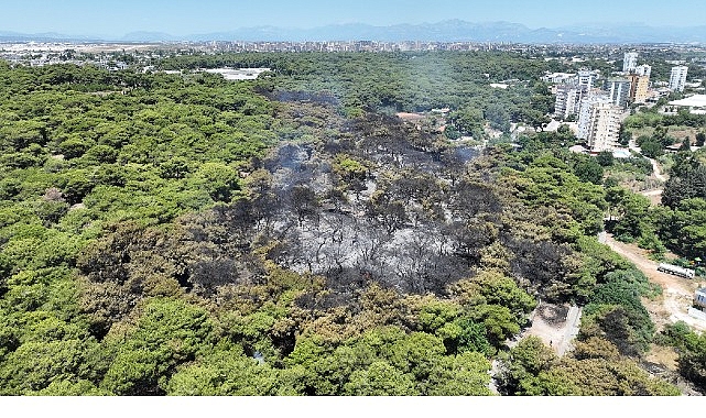 Antalya Büyükşehir Belediyesi İtfaiyesi alevlerle mücadelesini sürdürüyor- Haber Şafak