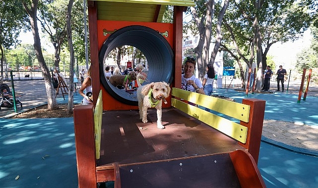 Bakırköy’e Yeni Köpek Parkı: Yeşilköy Ukrayna Parkı’nda Hizmete Girdi